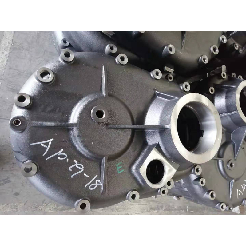 �T���p���w